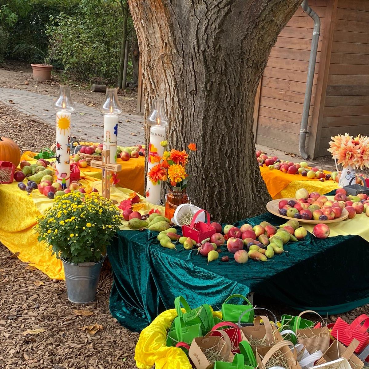 PHOTO-2025-09-29-12-15-52