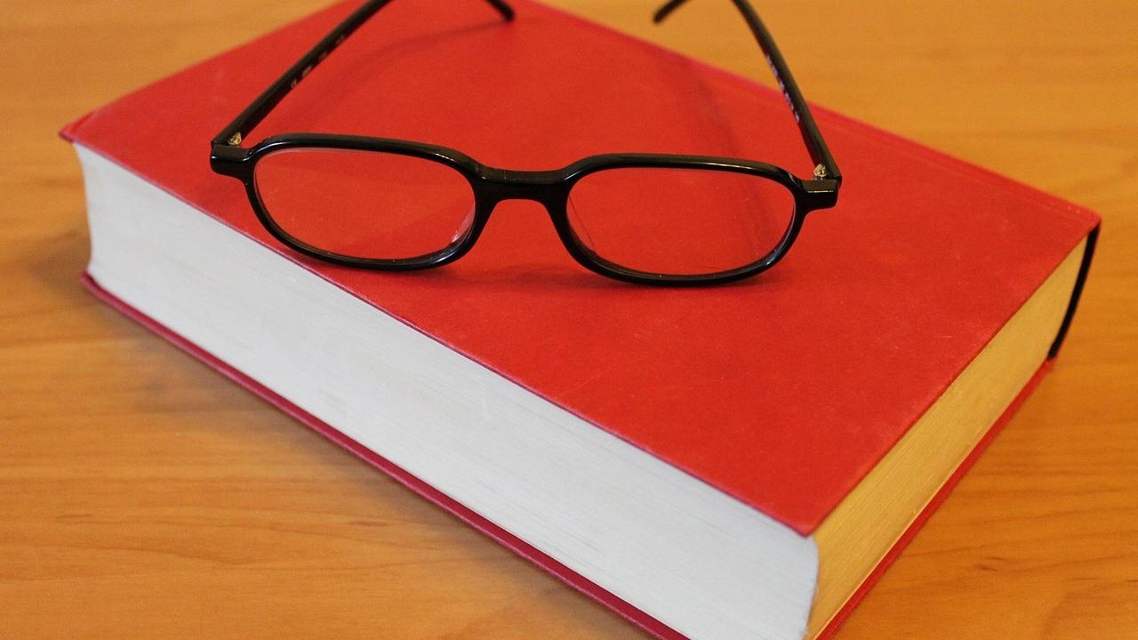 Buch lesen