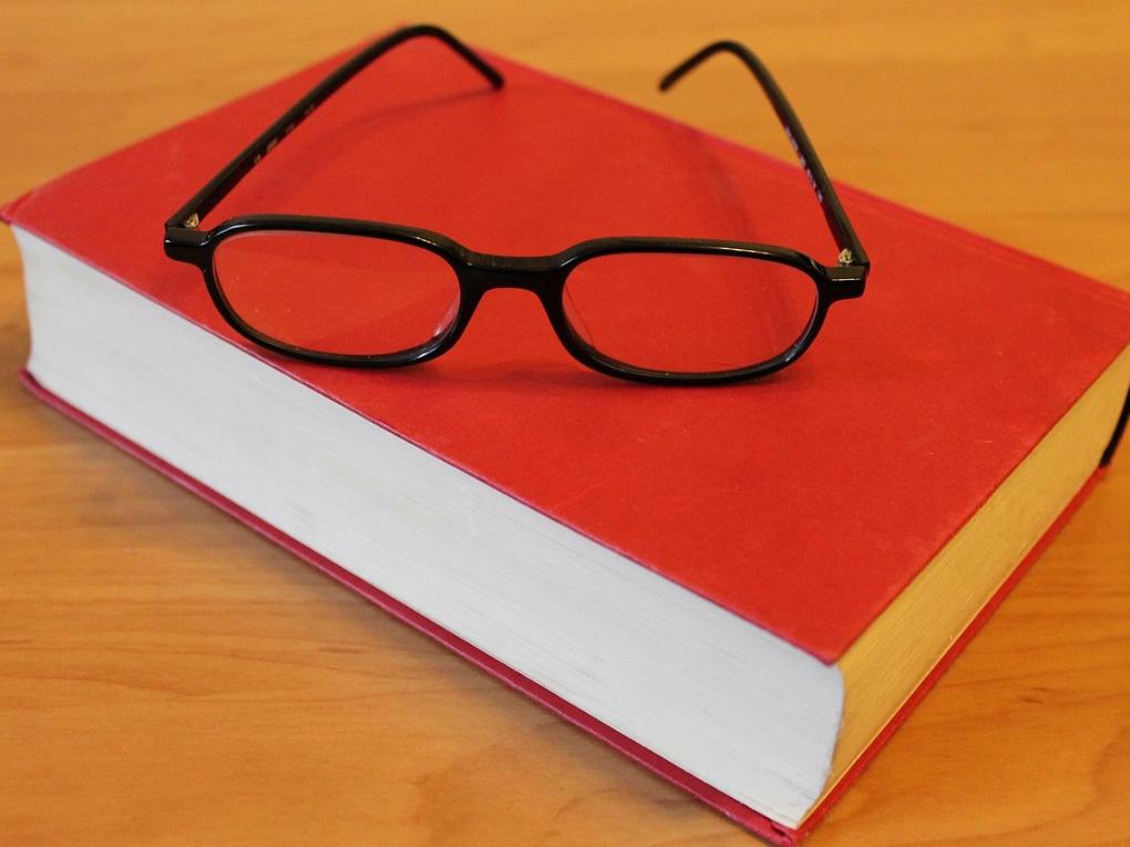 Buch lesen