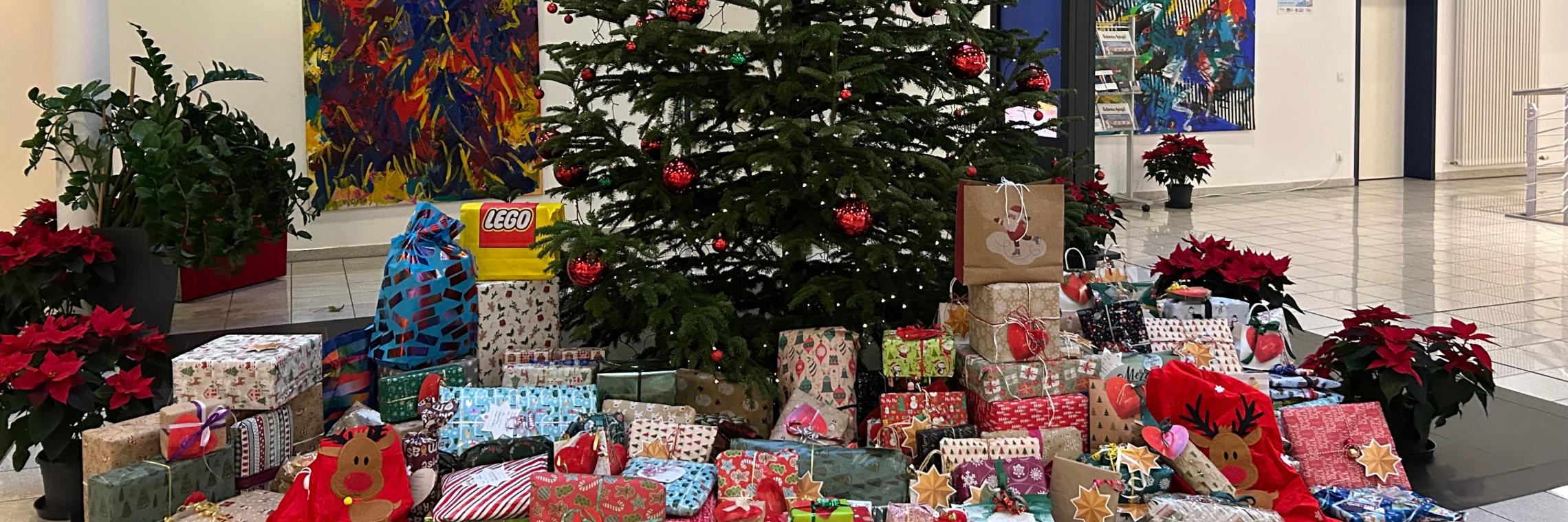 120 Geschenke unter dem Bechle-Weihnachtsbaum