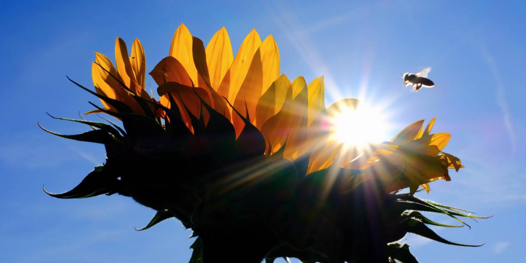 8C3F3030-3279-4EDC-ABAA-26E33A8EC6F9