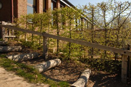 aussenansicht_der_kita_frieden_christi__kindergartennetzwerk_bad_godesberg